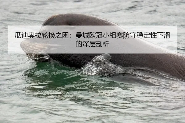 瓜迪奥拉轮换之困：曼城欧冠小组赛防守稳定性下滑的深层剖析