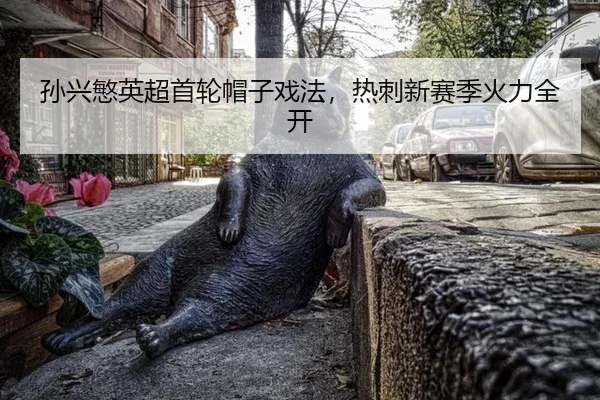 sun-xing-min-ying-chao-shou-lun-mao-zi-xi-fa-re-ci-xin-sai-ji-huo-li-quan-kai-3-522.jpg