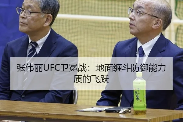 zhang-wei-li-wei-mian-zhan-di-mian-chan-dou-fang-yu-neng-li-zhi-di-fei-yue-2-697.jpg