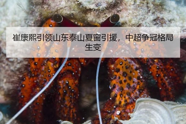 崔康熙引领山东泰山夏窗引援，中超争冠格局生变