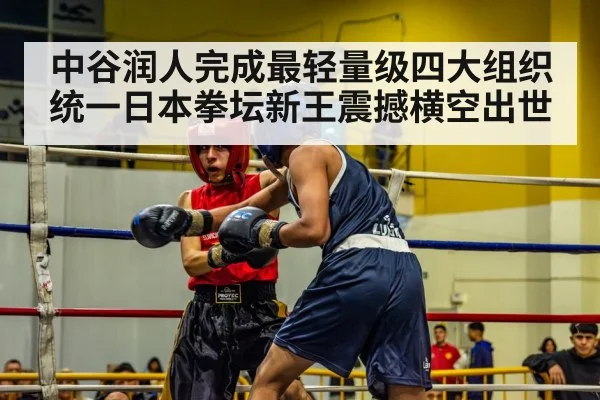 中谷润人完成最轻量级四大组织统一日本拳坛新王震撼横空出世